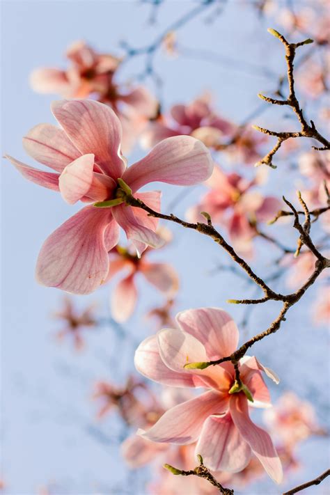 512 X 512 Px Photos, Download The BEST Free 512 X 512 Px Stock Photos ...