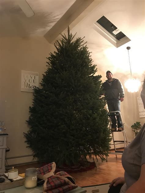 Throwback to our 2017 Christmas tree. 12+ ft tall, 6+ ft wide : christmas