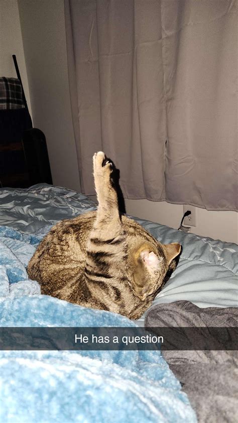 Told my GF about this sub a few days ago. She just sent me this : r