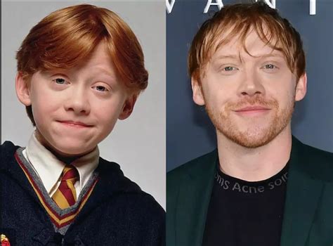 The Cast of Harry Potter - Then and Now