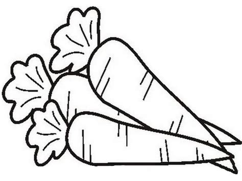 carrot coloring page  getdrawings