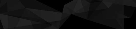 black-banner-vector | Ace Metrix