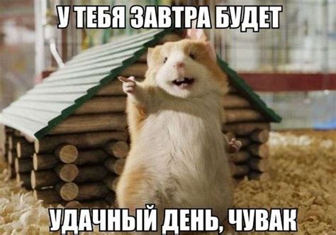 Смішні картинки з написами (20 картинок) - OrangeCat