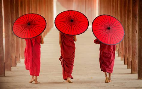 red origin theory design applications  color schemes