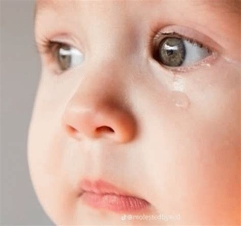 Lithuania Baby Meme - Lithuania Baby - Discover & Share GIFs
