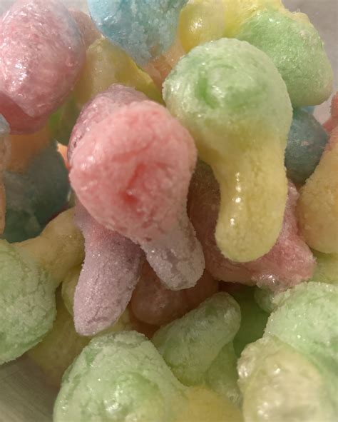 Freeze Dried Sour keys Gummies - Lakeside Farmstand