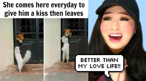 The Happiest Dog Memes Ever That Will Make You Smile - YouTube