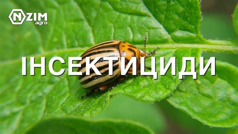 Інсектициди та акарициди