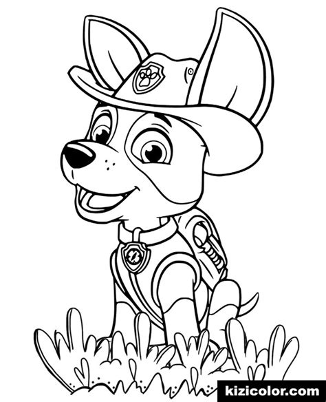 Malvorlagen zum Ausmalen: 30 Paw Patrol Ausmalbilder zum Ausdrucken ...