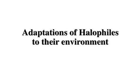 Halophiles (Introduction, Adaptations, Applications)