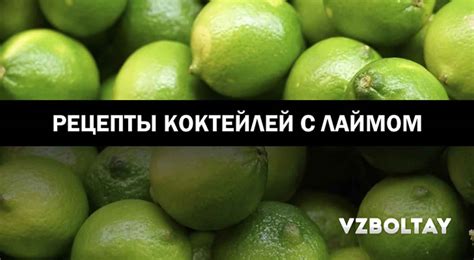 Лайм: 77 рецептов коктейлей с фото