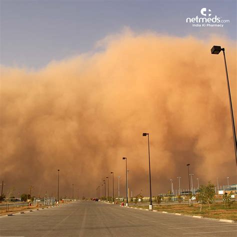 Dust storm: Impact of dust pollution on the lungs