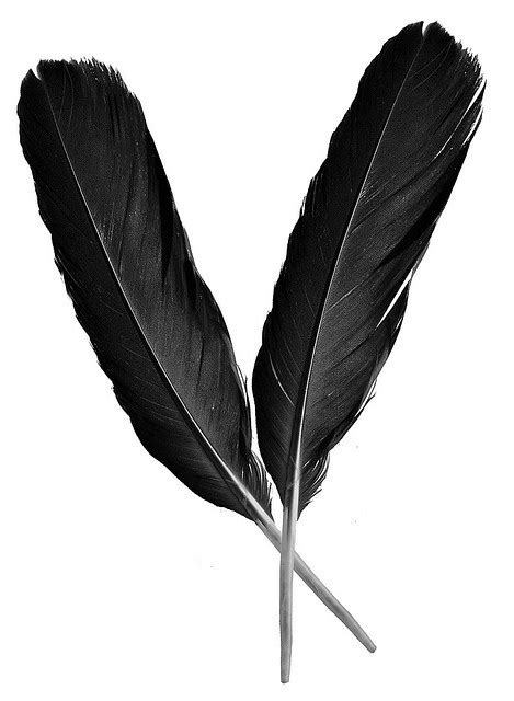 Two Raven Feathers Artwork