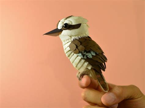 Paper Kookaburra by Richi89