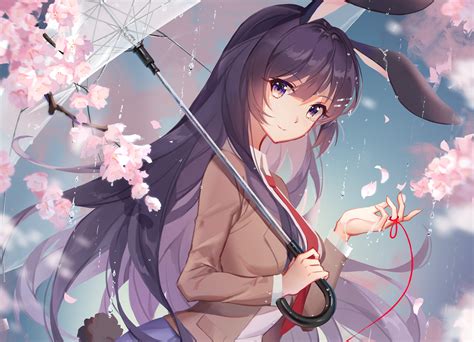 seishun buta yarou wa bunny girl senpai  yume  minai mai sakurajima