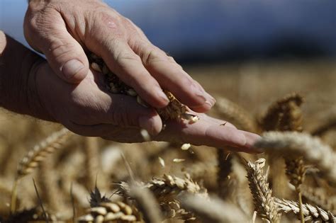Bayer launches three new crop protection products • Food Innovationist