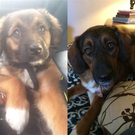 1663 best Homeless Man images on Pholder | Pics, Humans Being Bros and