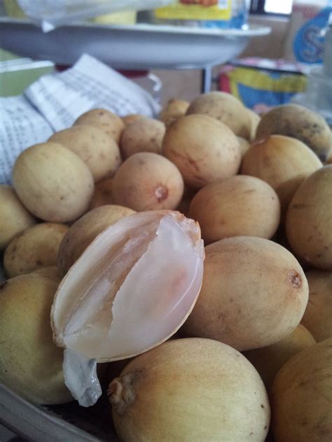 fruit  learn  httpenwikipediaorgwikilangsat buah
