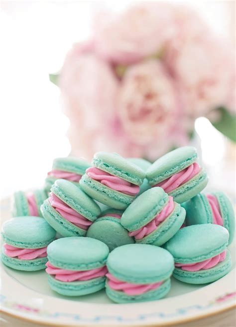 solid pastel color blue pink macaroons wallpaper wallpaperscom