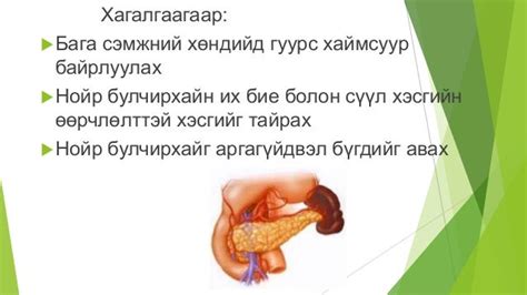 нойр булчирхай