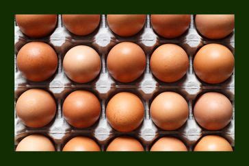 Eggs