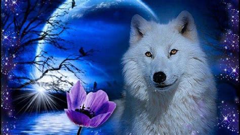 Wolf Fantasy Wallpapers Group (82+)