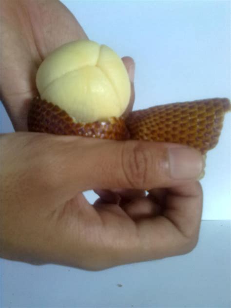 cara membuat manisan salak basah 3