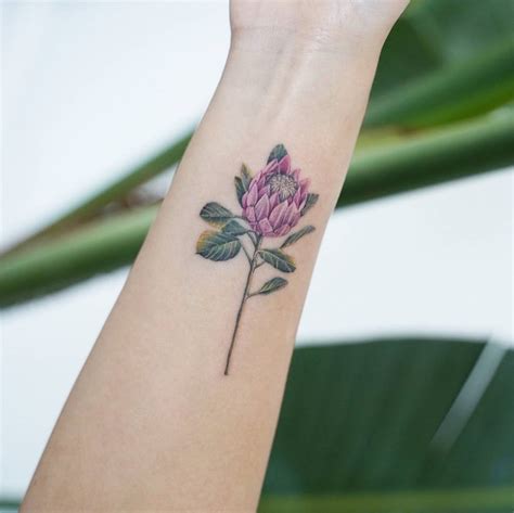 Protea Flower Tattoo Designs | Best Flower Site