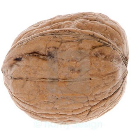 organic brown walnut  rs kg ojhar id