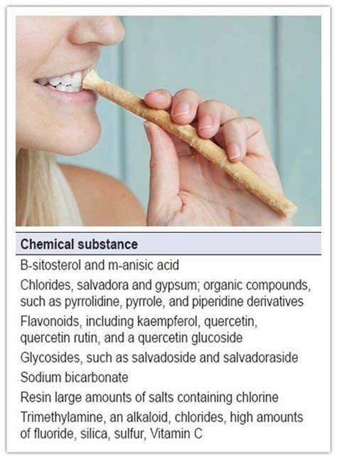 Natural Miswak Extract Powder for Teeth Whitening