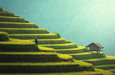 Arti Warna Hijau dan Karakter Kepribadiannya | diedit.com