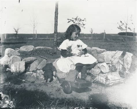 Коты и кошки (19 фото)