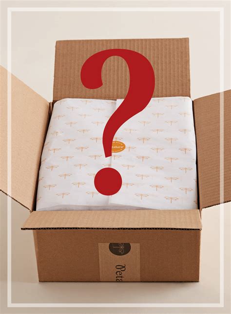 Accessories and Gifts Mystery Box (Final Sale - No Returns) | Petalura