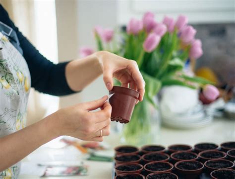 how to sow flower seeds 10