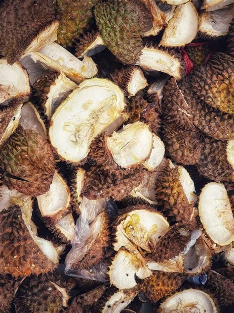 Durian Skin Waste Surrounded by Flies. Durian Skin Contains Starch ...