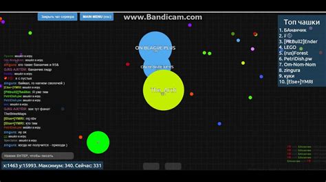 Petridish.pw play - YouTube