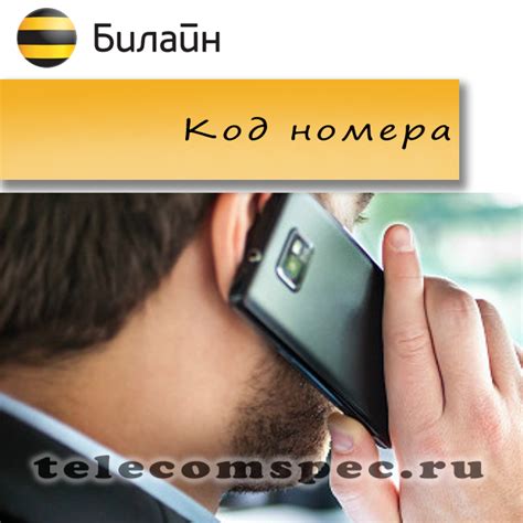Код оператора Билайн: виды номеров