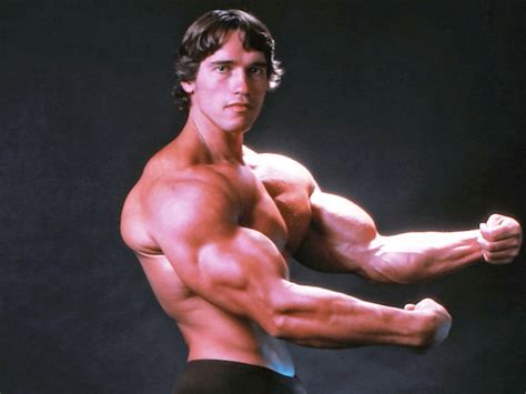 Estrenará Arnold Schwarzenegger su primera serie y un documental en ...