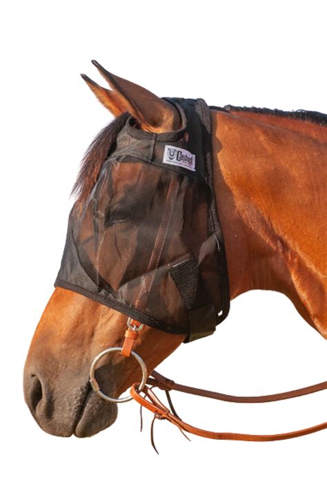 Cashel Quiet Ride Standard Fly Mask – Tack Shack Of Ocala