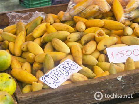 Гурман-тур: екзотичні фрукти наранхілла і аннона - Tochka.net
