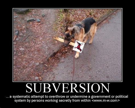 Librarianship as a subversive profession - Home - Doug Johnson's Blue ...