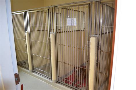 Cumberland Animal Clinic Tour | Vet Clinic In Cumberland, ME 04021