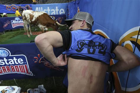 Sugar Bowl: Texas steer mascot Bevo charges Georgia bulldog Uga before ...