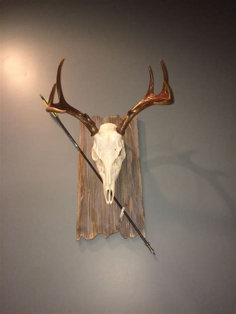 European Mount of Massachusetts Whitetail Deer with Arrow and Tag