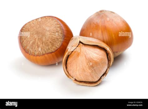 Filbert nut hi-res stock photography and images - Alamy