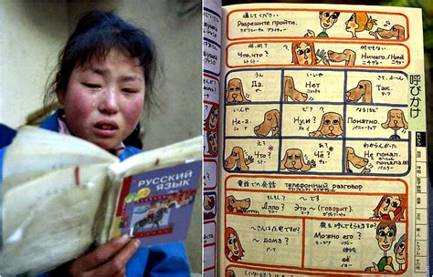 17 перлов из учебников по русскому языку для иностранцев