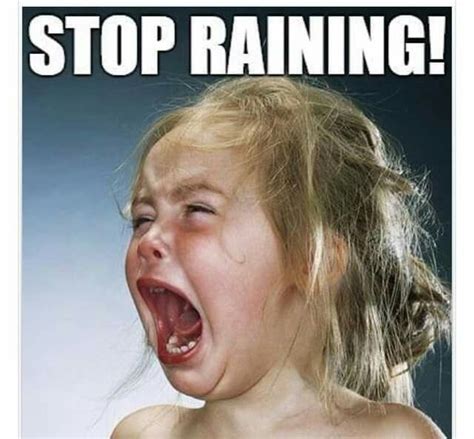 Stop raining, please! | Funny baby memes, Funny monday memes, Monday memes