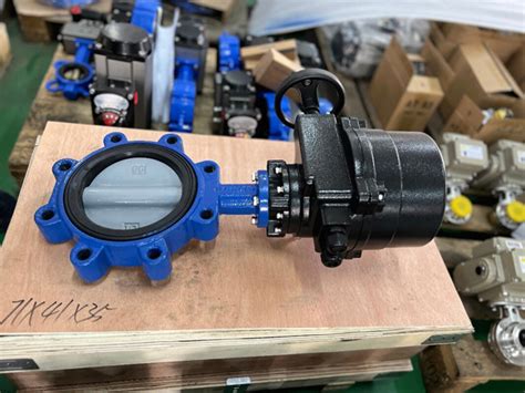 What is a lug valve?? Everything You Need to Know