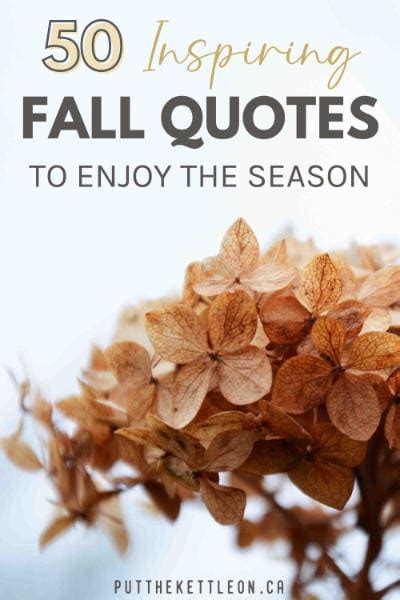 50 Inspirational Fall Quotes To Enjoy The Season - Put The Kettle On