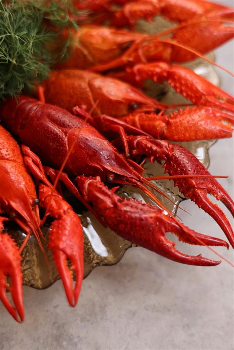 Whole Spanish Boiled Crawfish U/10 - Seafood Connection
